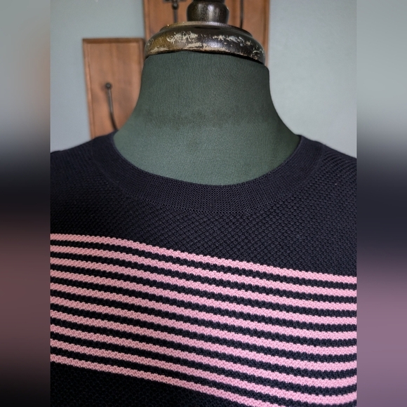 Talbots Navy Blue and Pink Striped Sweater Size Medium - Picture 4 of 12